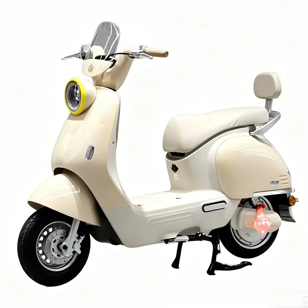 EER Adult electric motorcycle  - Brake Disc Motorcycle review and price