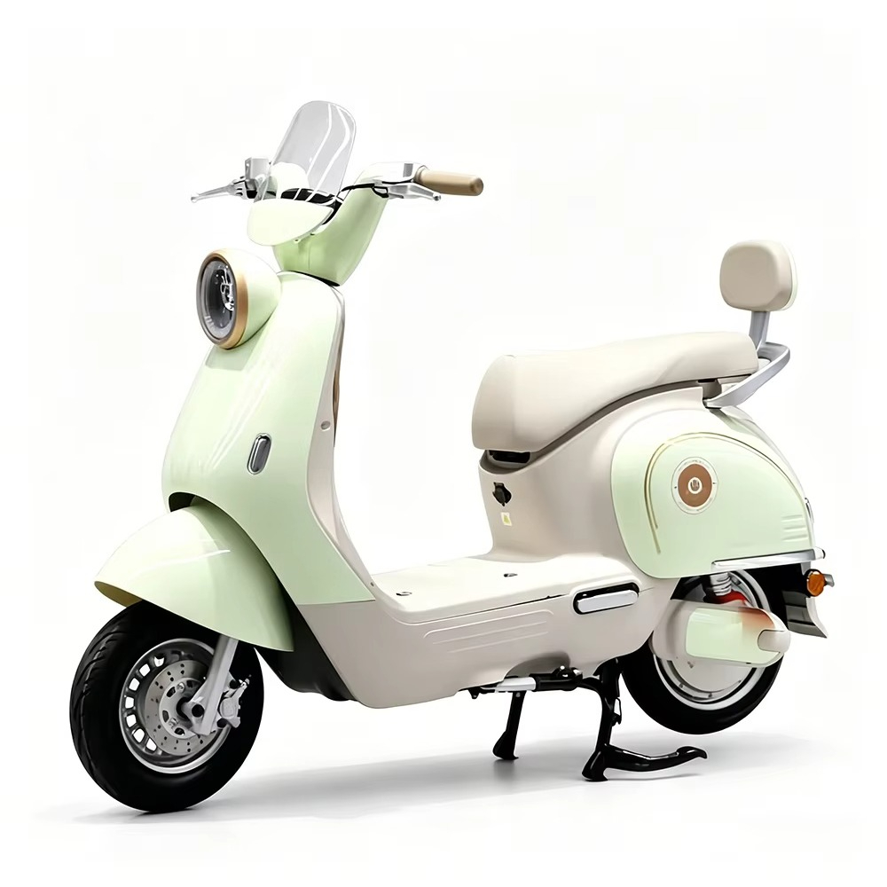 EER Adult electric motorcycle  - Brake Disc Motorcycle review and price
