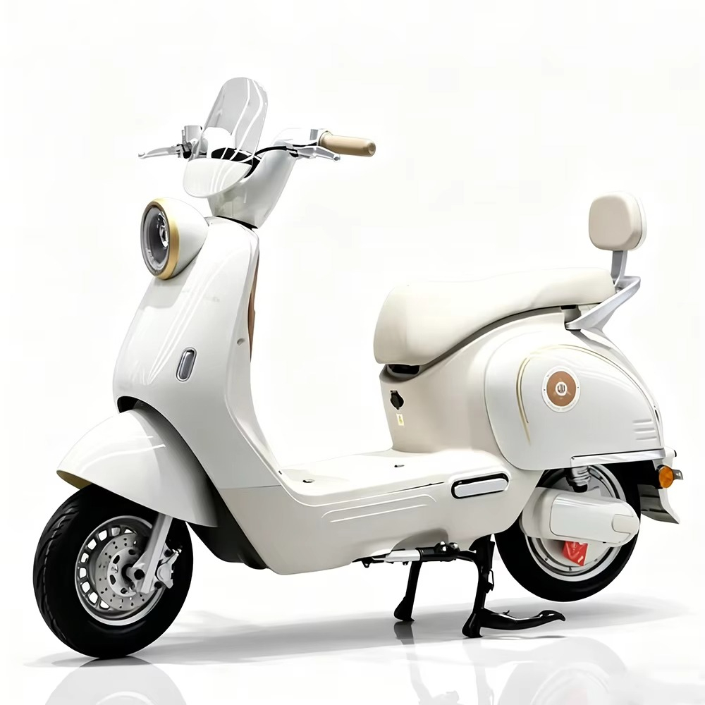 EER Adult electric motorcycle  - Brake Disc Motorcycle review and price
